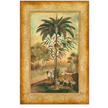 Paradisimo II Poster Print