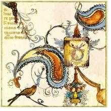 Bird Of Paisley I Poster Print