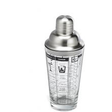 Outset Glass & Stainless-Steel Cocktail Shaker W/ Recipes