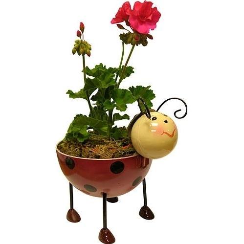 Alpine Iron Planter - Ladybug