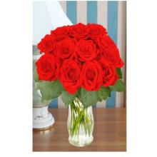 12 Short Stem Red Roses