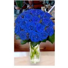 18 Blue Roses