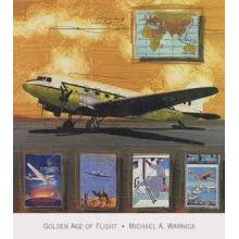 Golden Age Of Flight Poster Print