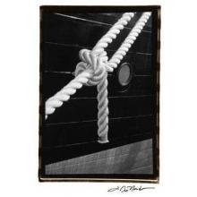Secure Harbor Poster Print