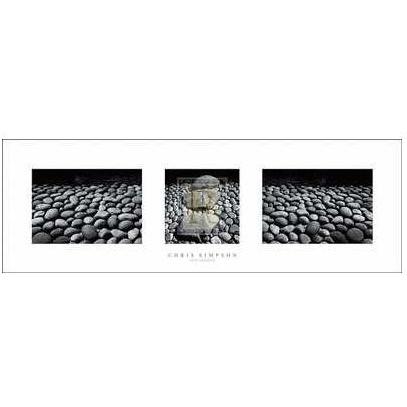 Chris Simpson - Zen Garden Size 36x12 Poster Print