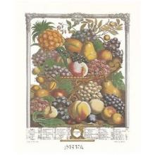 Twelve Months Of Fruits, 1732/October Poster Print