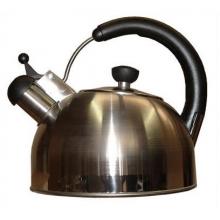 Oggi Stainless Whistling Kettle W/ Glass Dome