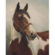 Registered Paint Poster Print