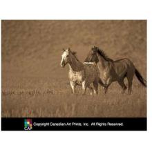 Partners Poster Print