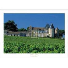 M. Rock - Chateau D Yquem Sauternes France Size 27x20 Poster Print