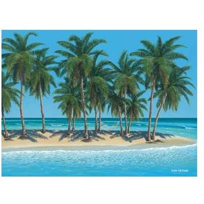 Fiji Poster Print
