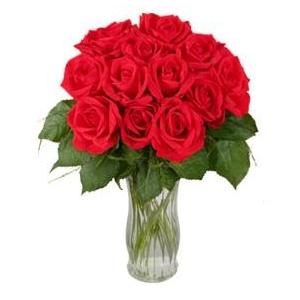 12 Red Long Stem Roses