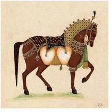 Horse From India II Poster Print