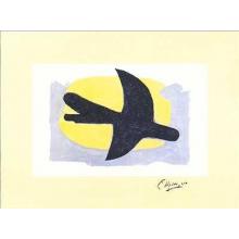 Blue And Yellow Bird Poster Print