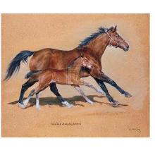 Hasili With Foal Poster Print