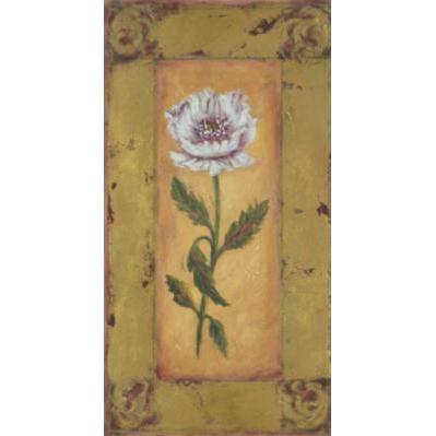 Antique Oriental Poppy Poster Print
