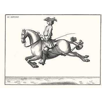 Horses With Riders B&W Poster Print