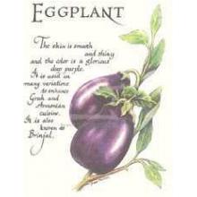 Eggplant Poster Print
