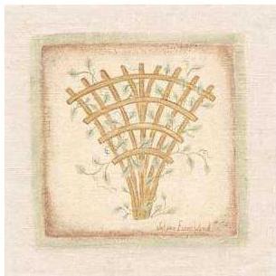 Trellis Poster Print