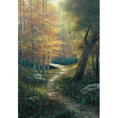 Aspen Beauty Poster Print Picture