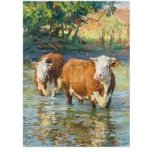 Watering Hole - Springtime Poster Print