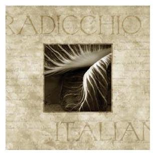 Radicchio Poster Print