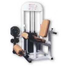Maximus Seated Knee Flexion / Extension Machine