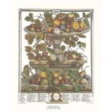 Twelve Months Of Fruits, 1732/June Poster Print