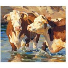 Summertime Wading Poster Print