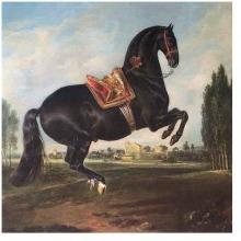 Black Horse Performing The Courbette Poster Print