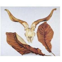 Ram S Skull With Brown Leaves Poster Print
