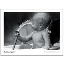 Little Squirt Poster Print
