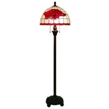 University of Arkansas  Floor Lamp