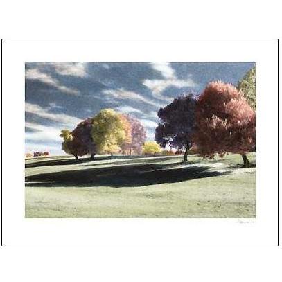 Grove Of Color Poster Print