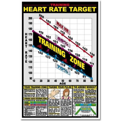 ALGRA Training Heart Rate Target 23 Inchx35 Inch (EA)