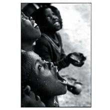 South Africa 1981 Poster Print