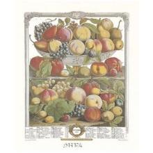 Twelve Months Of Fruits, 1732/September Poster Print