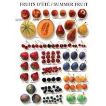 Summer Fruits Poster Print