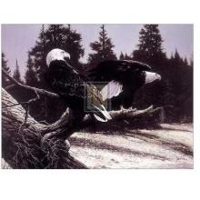 As Free As The Wind (LE) Poster Print