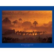 Luc Manaud - Fachi Oasis, Niger Poster Print