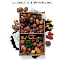 Potatoes Poster Print