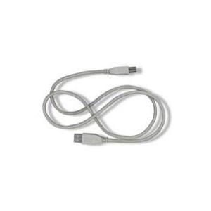 Belkin 6 Foot USB CABLE-CLEAR -A/B, IMAC