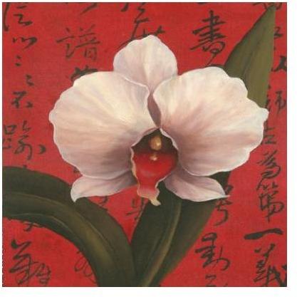 Chinese Orchid On Red Poster Print