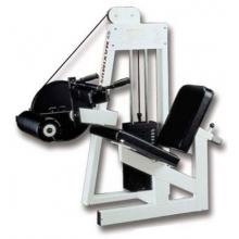 Maximus Seated Knee Flexion