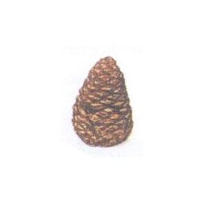 Rasmussen Pine Cone - 4 Inches - Medium