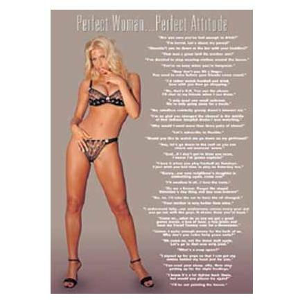 PERFECT WOMAN (20 In. By 36 In.) - Print