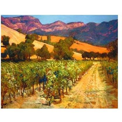 Wine Country Poster Print