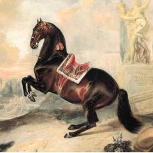 Bay Horse Valido Performing A Levade Poster Print