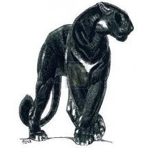 Panther III Poster Print