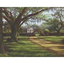 Stately Passage Poster Print